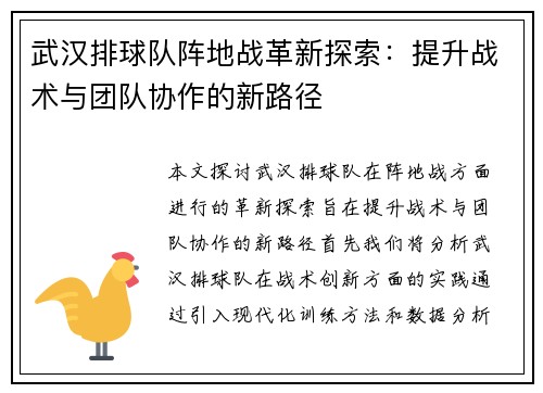 武汉排球队阵地战革新探索：提升战术与团队协作的新路径