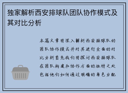 独家解析西安排球队团队协作模式及其对比分析