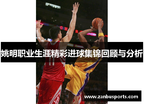 姚明职业生涯精彩进球集锦回顾与分析